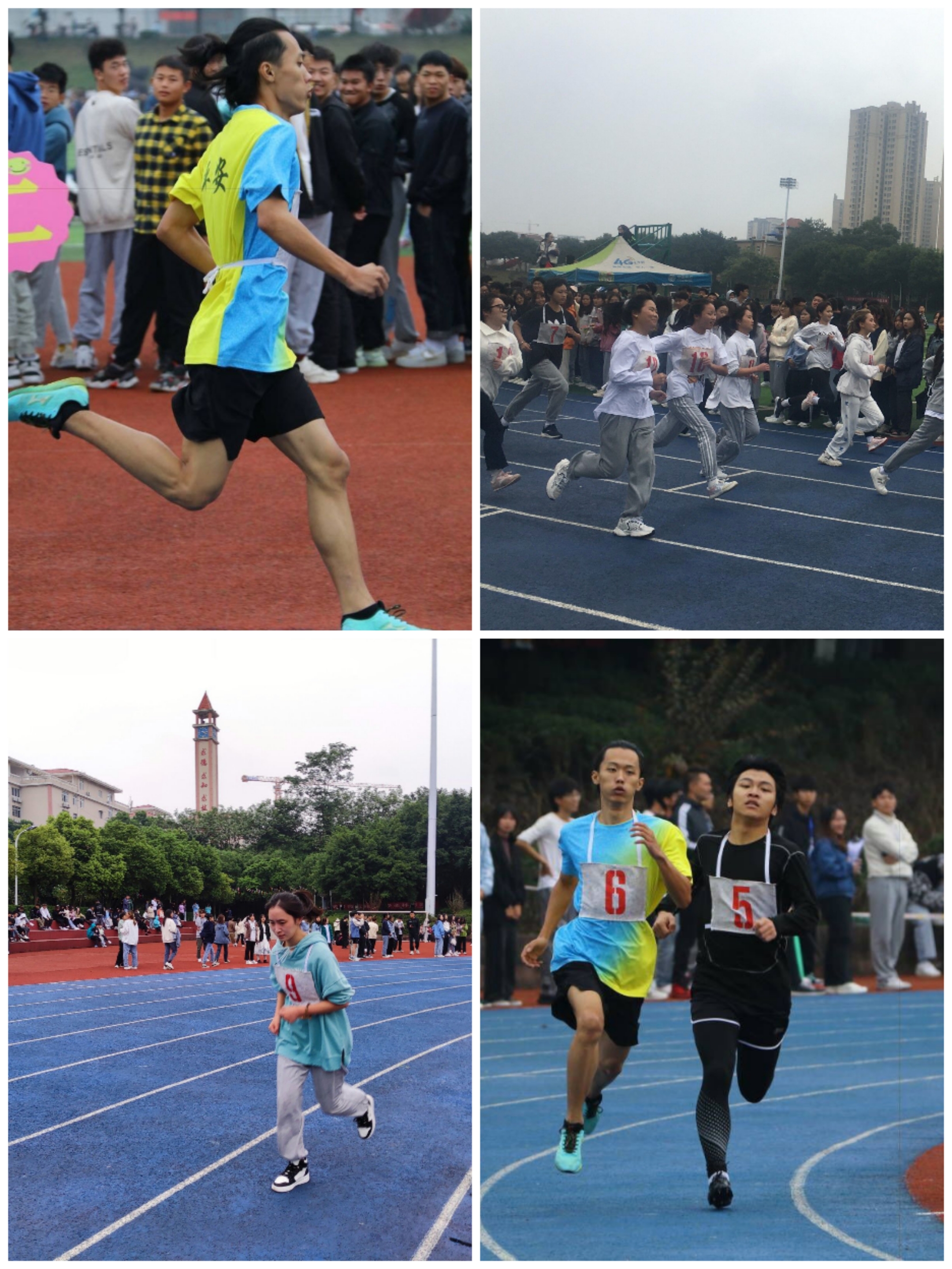 图六.jpg