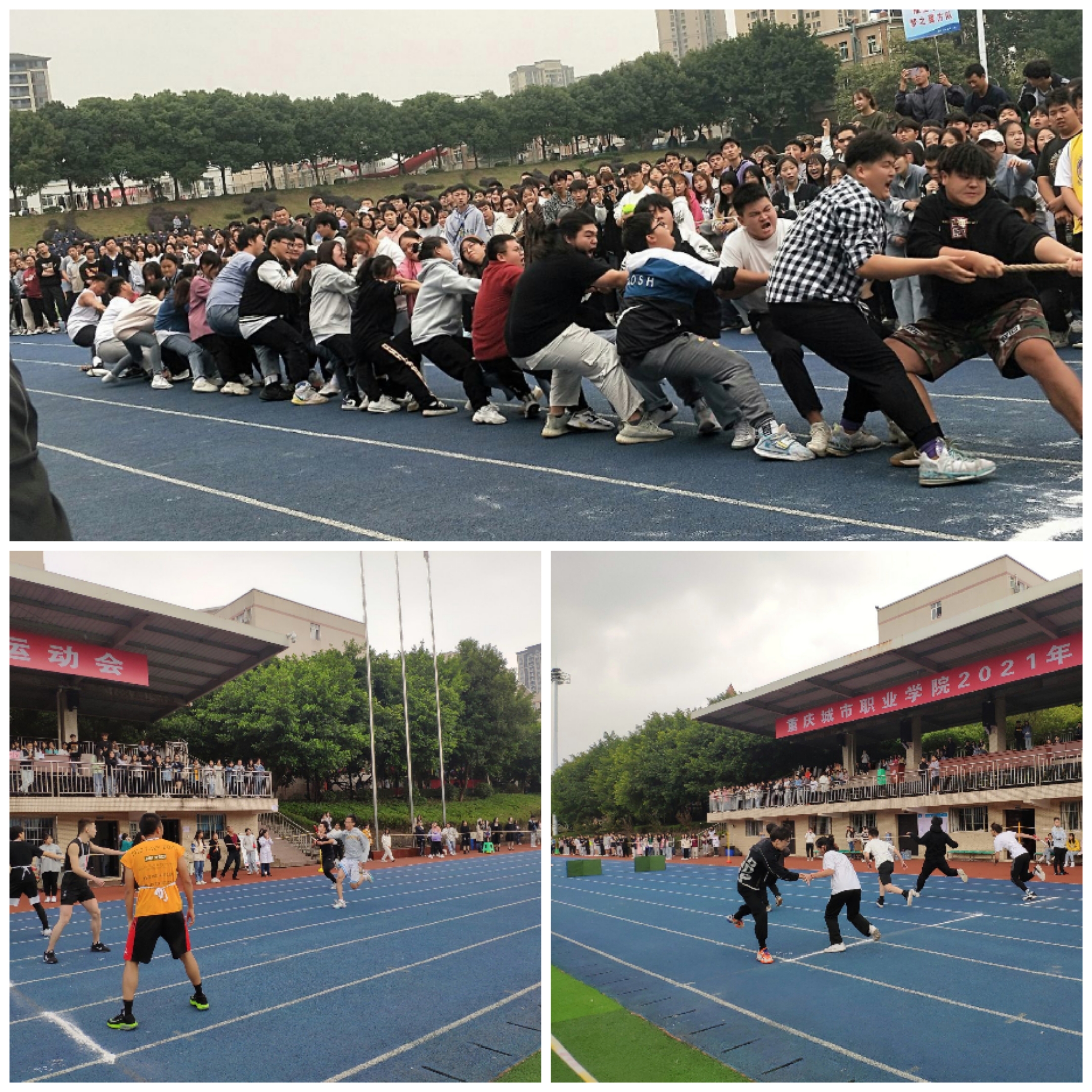 图十.jpg