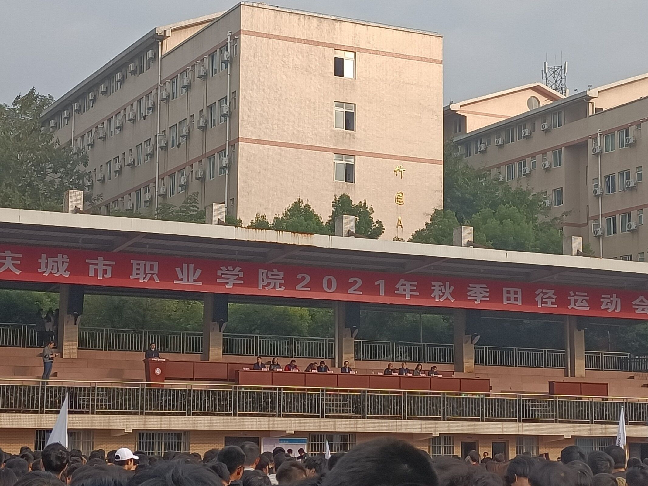 图一.jpg 图一.jpg