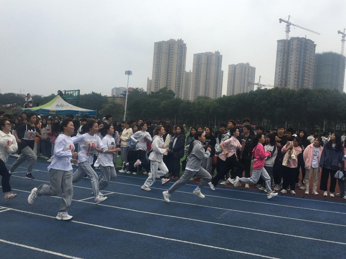 图十三.png 图十三.png