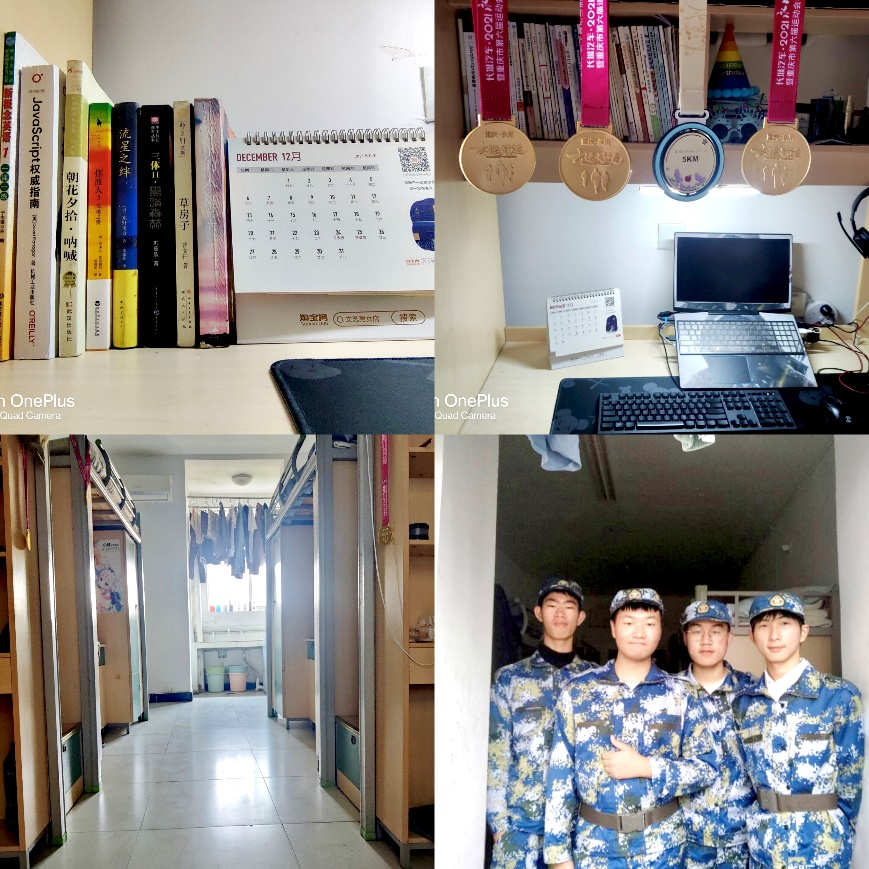 图十二.png 图十二.png